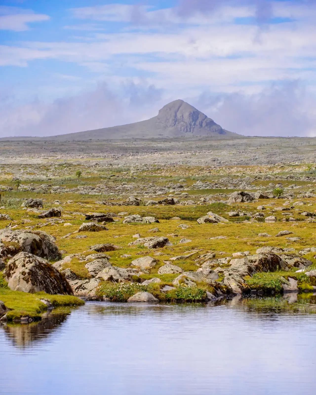 Afro-alpine moorland, Sanetti Plateau