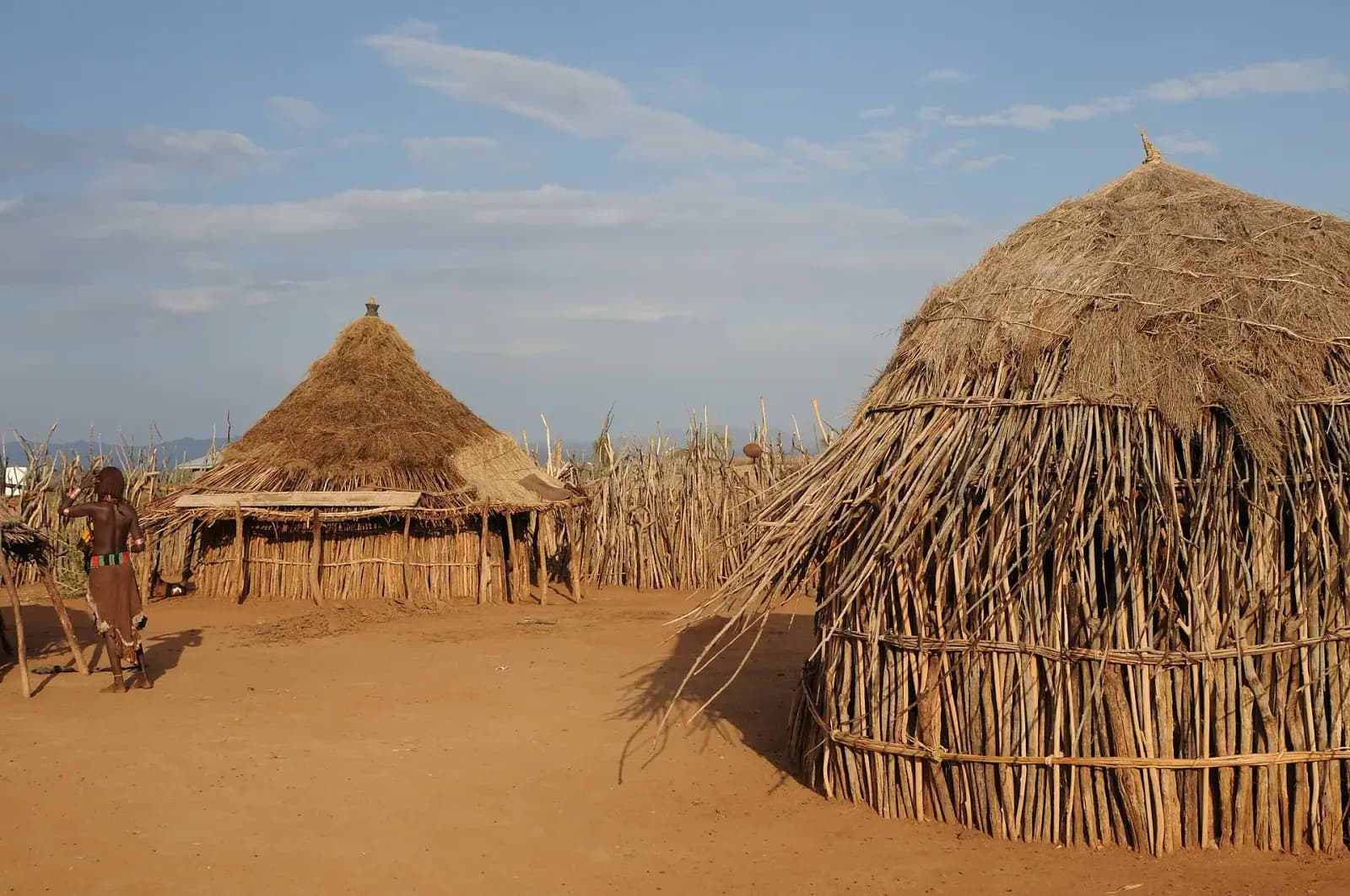 Traditional Hamar huts