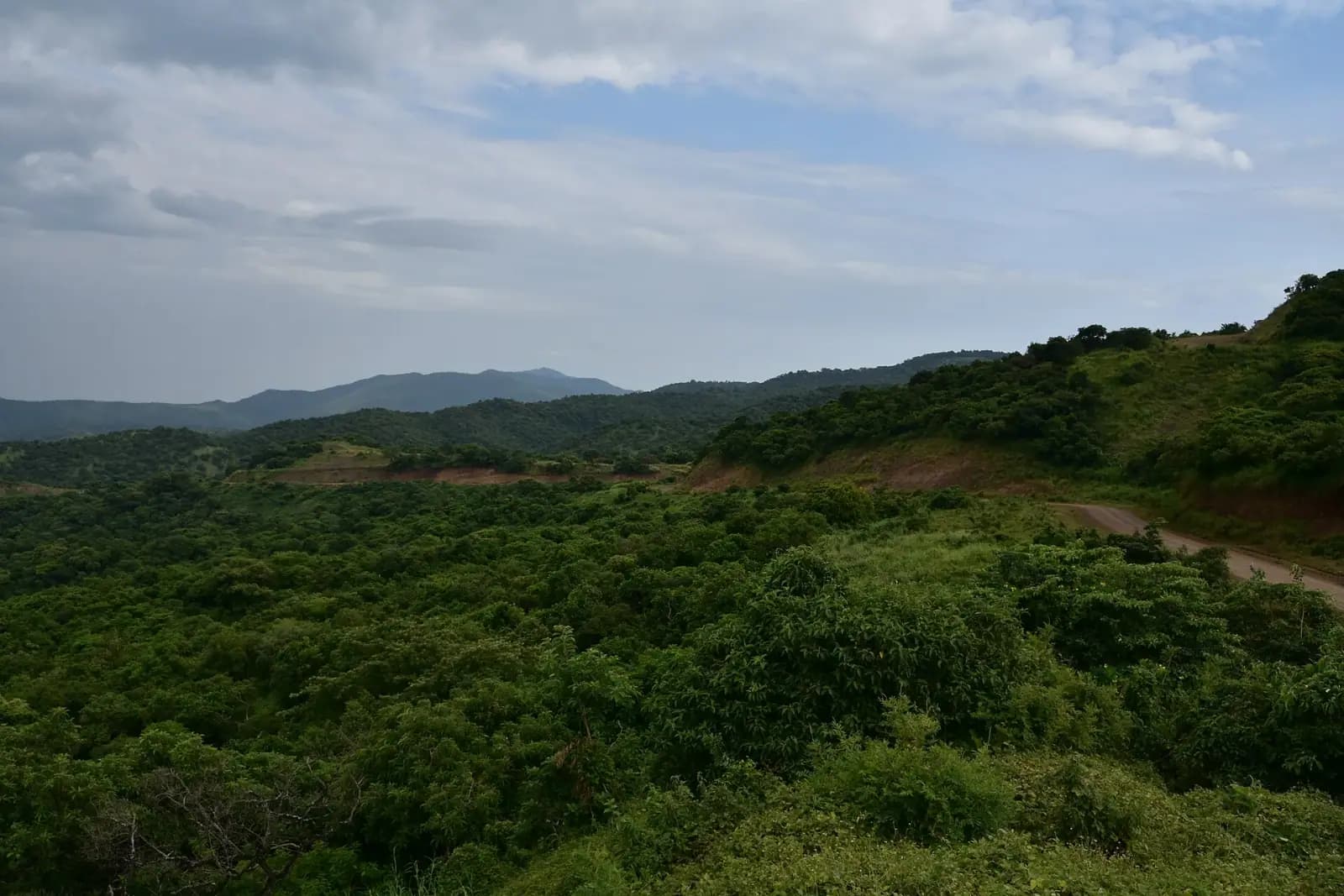 Wild country of Mago National Park