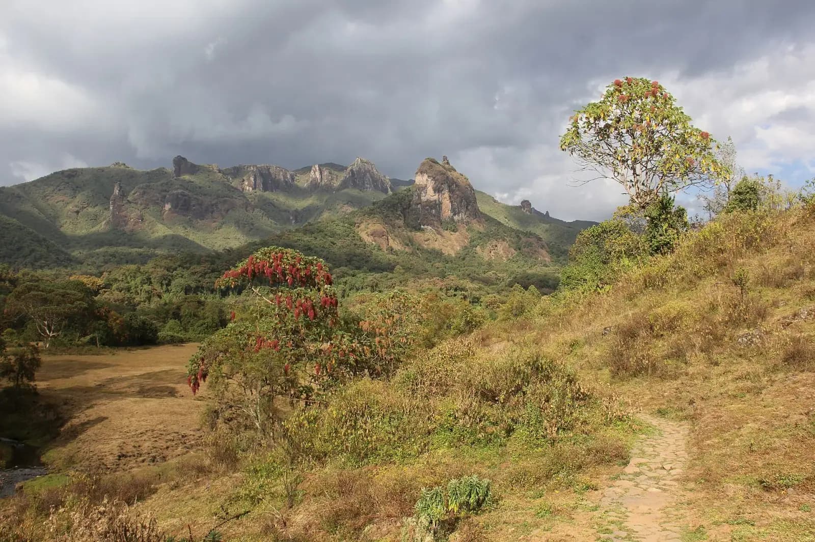 Bale Mountains Trek — photo 3