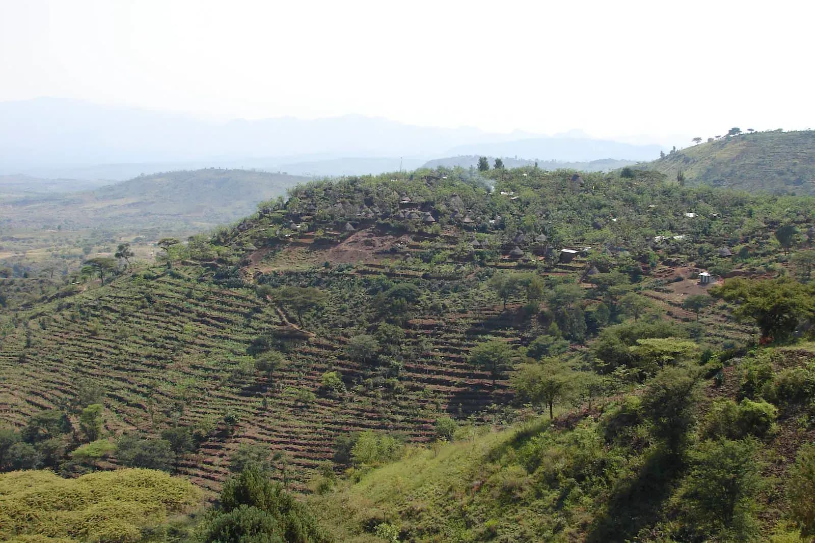 Konso Highlands & UNESCO Villages — photo 3