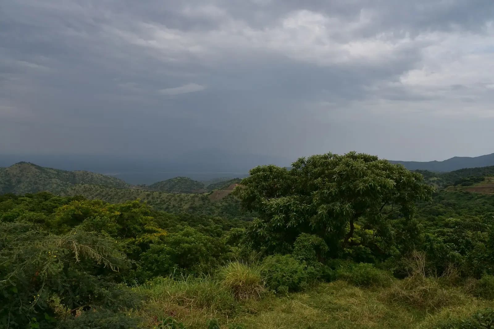 Mago National Park Safari — photo 4