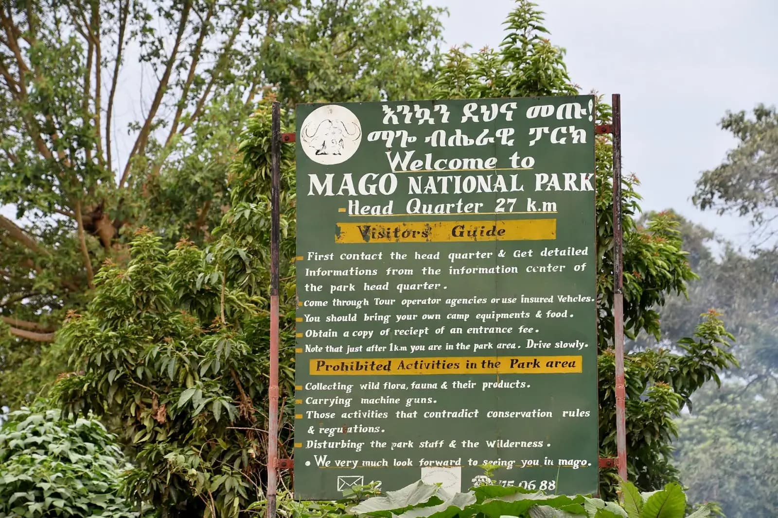 Mago National Park Safari